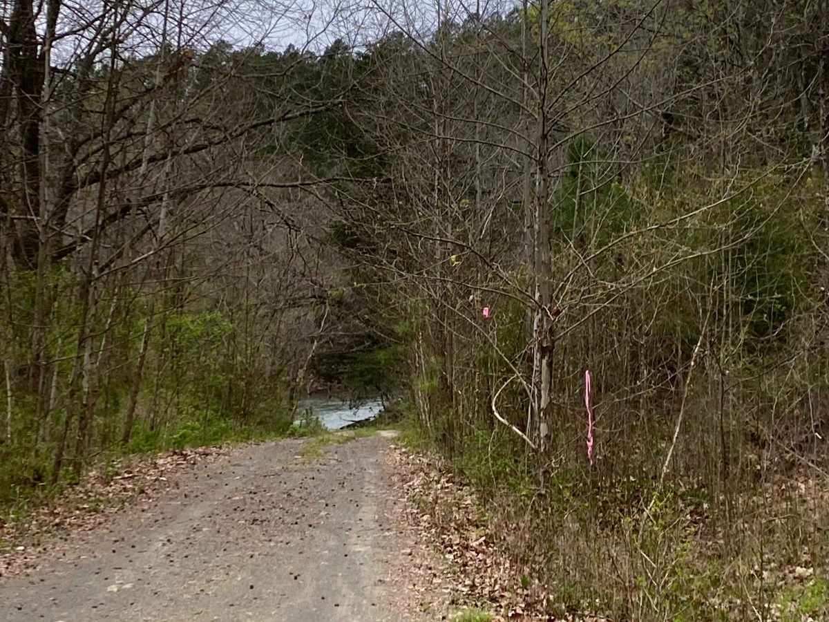 Buffalo Creek FR 28800 photo 5