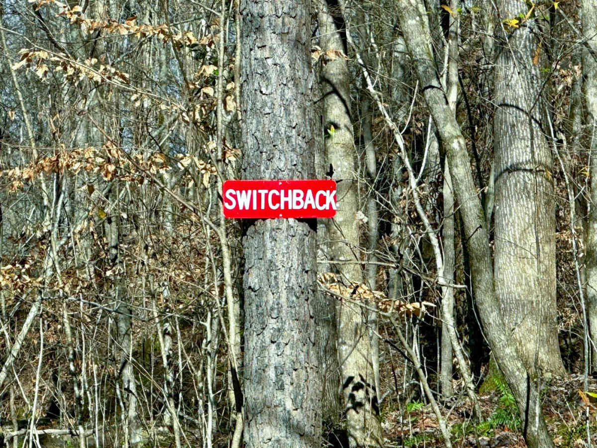Switchback trail photo