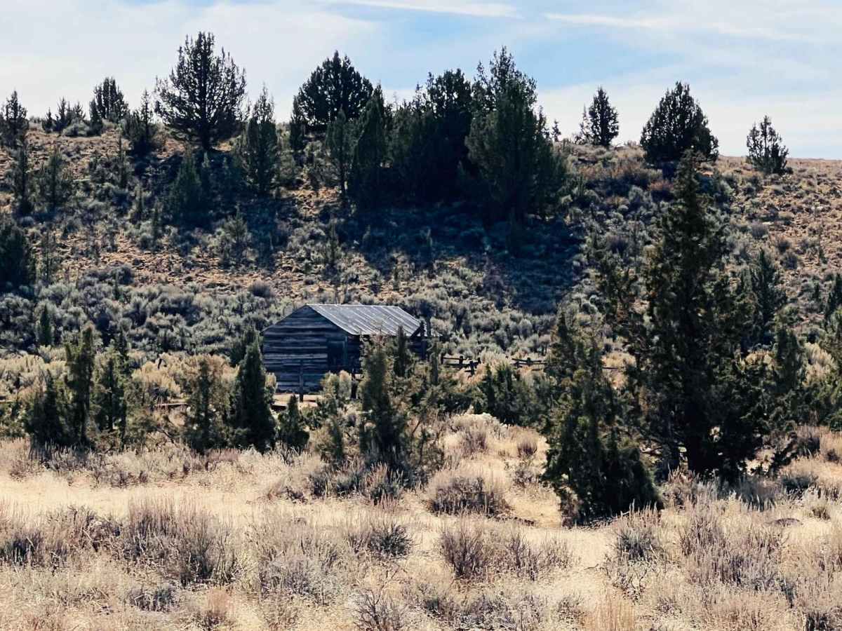 Lauserica Road photo 3