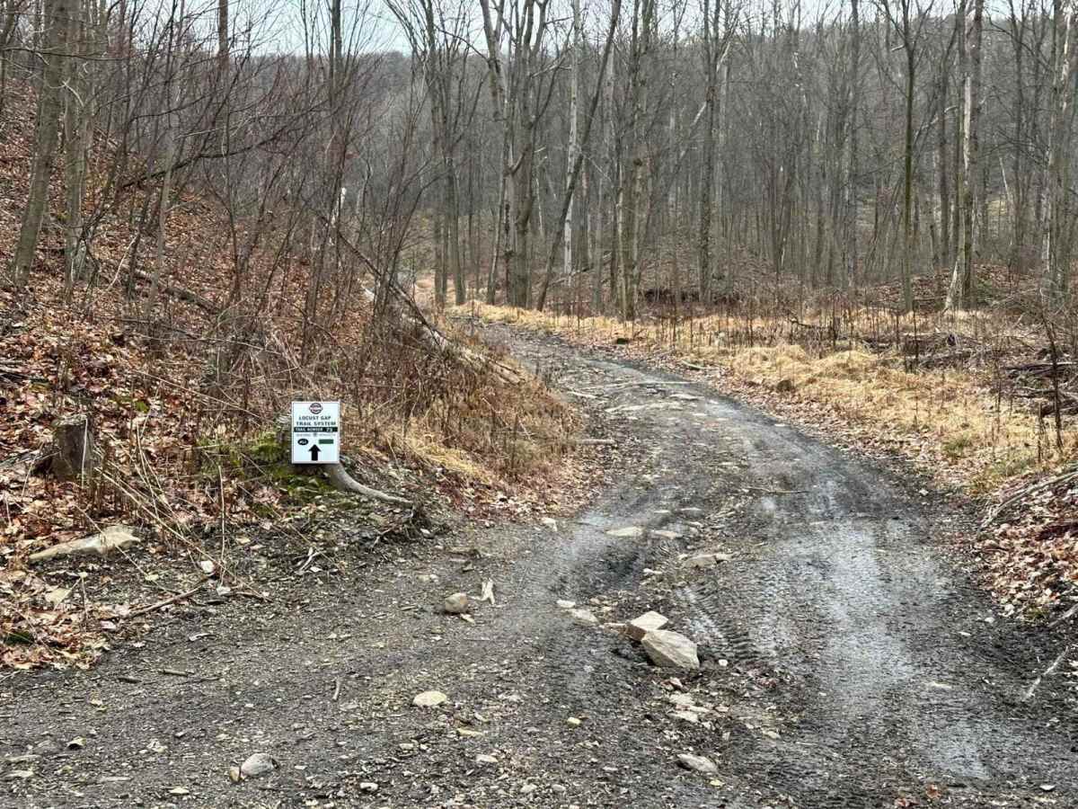 Locust Gap 73 trail photo