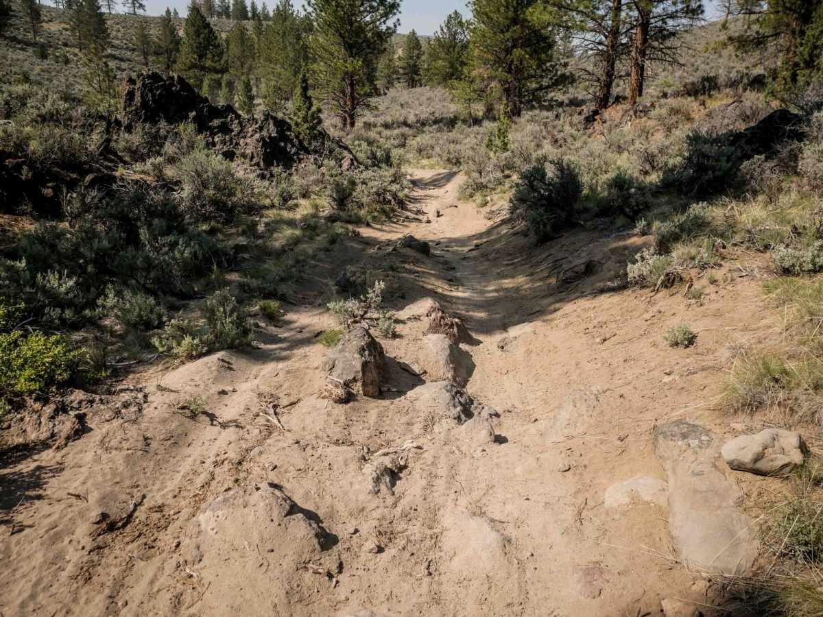 17 trail photo