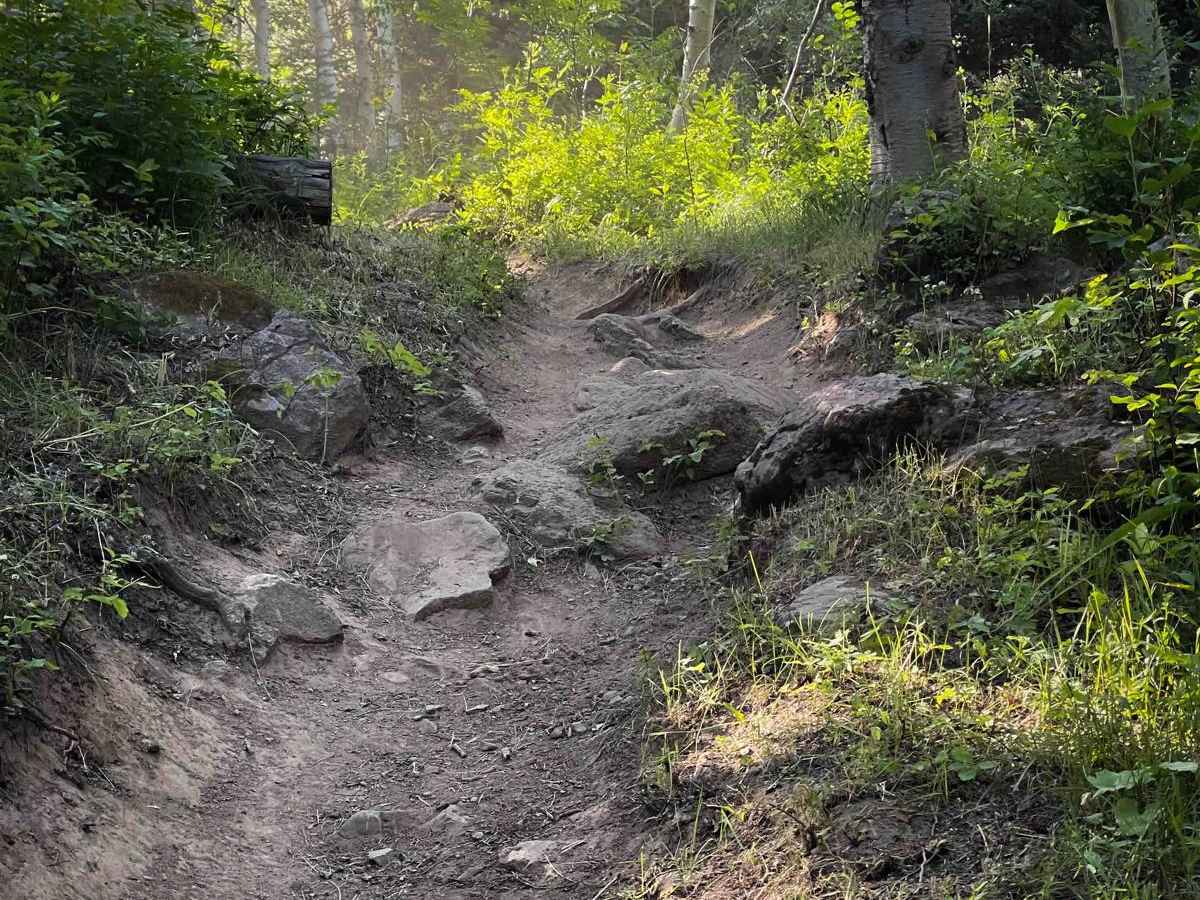 Drake Creek photo 4