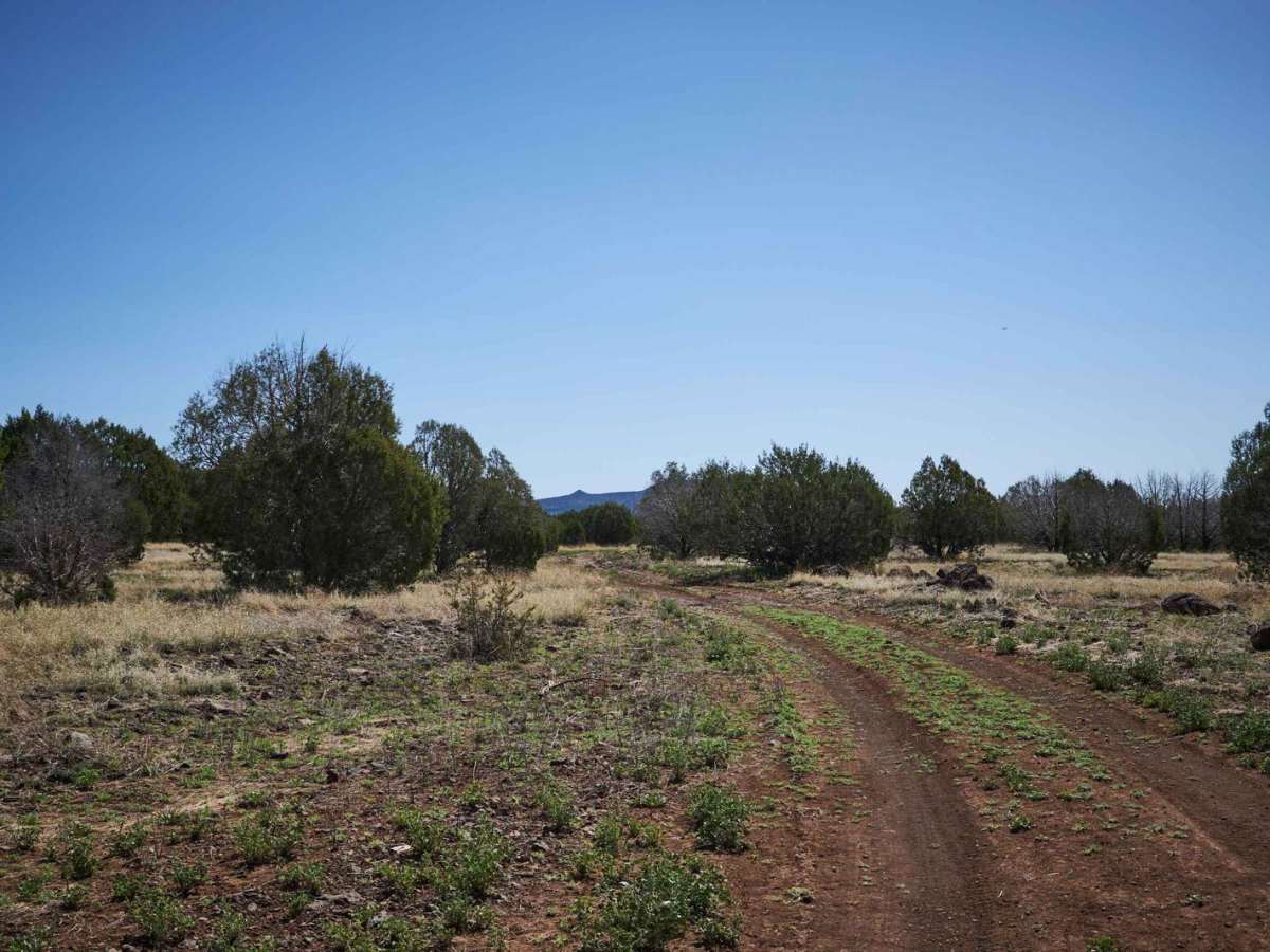 Rocky Rut photo 3
