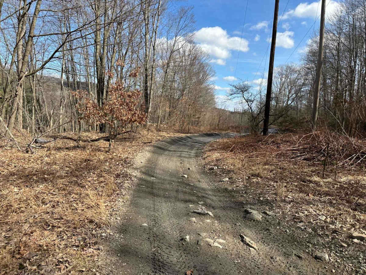 Locust Gap 49 photo 2