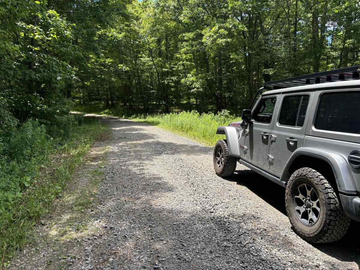 Owl Knob Hollow photo 4