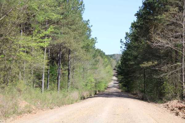 Howard County WMA 485RD Circle