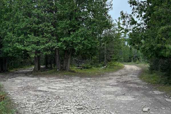 ORV Bypass - 492