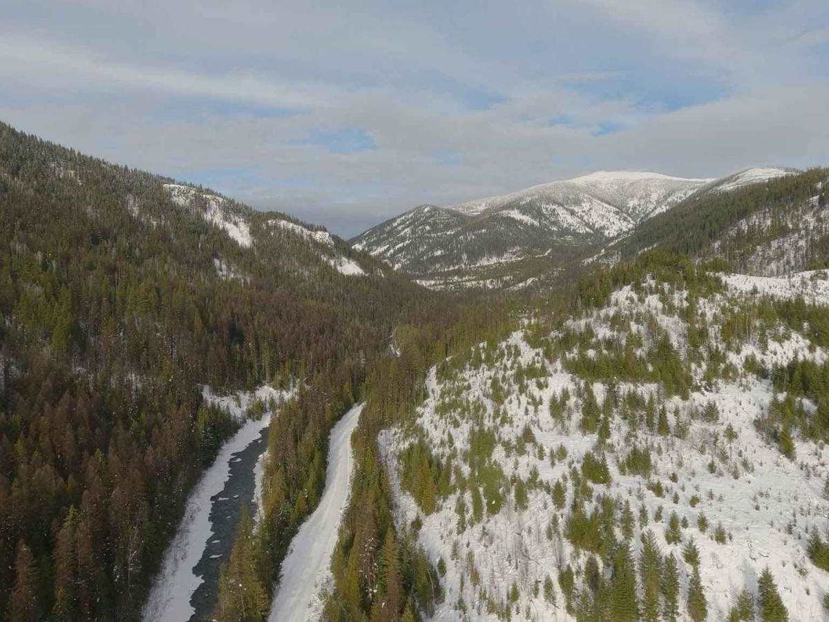 Goat River FSR photo 4