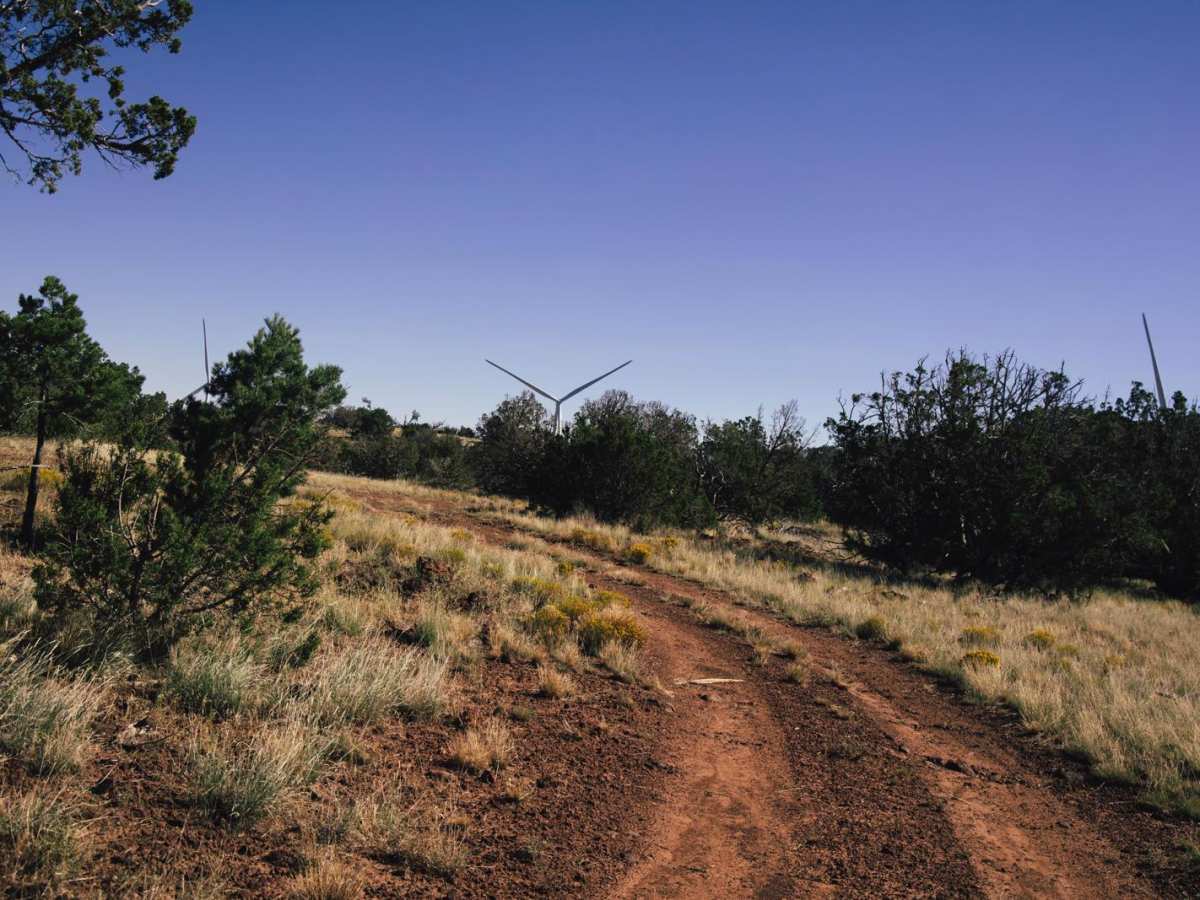 Windmill CrossPlay photo 3