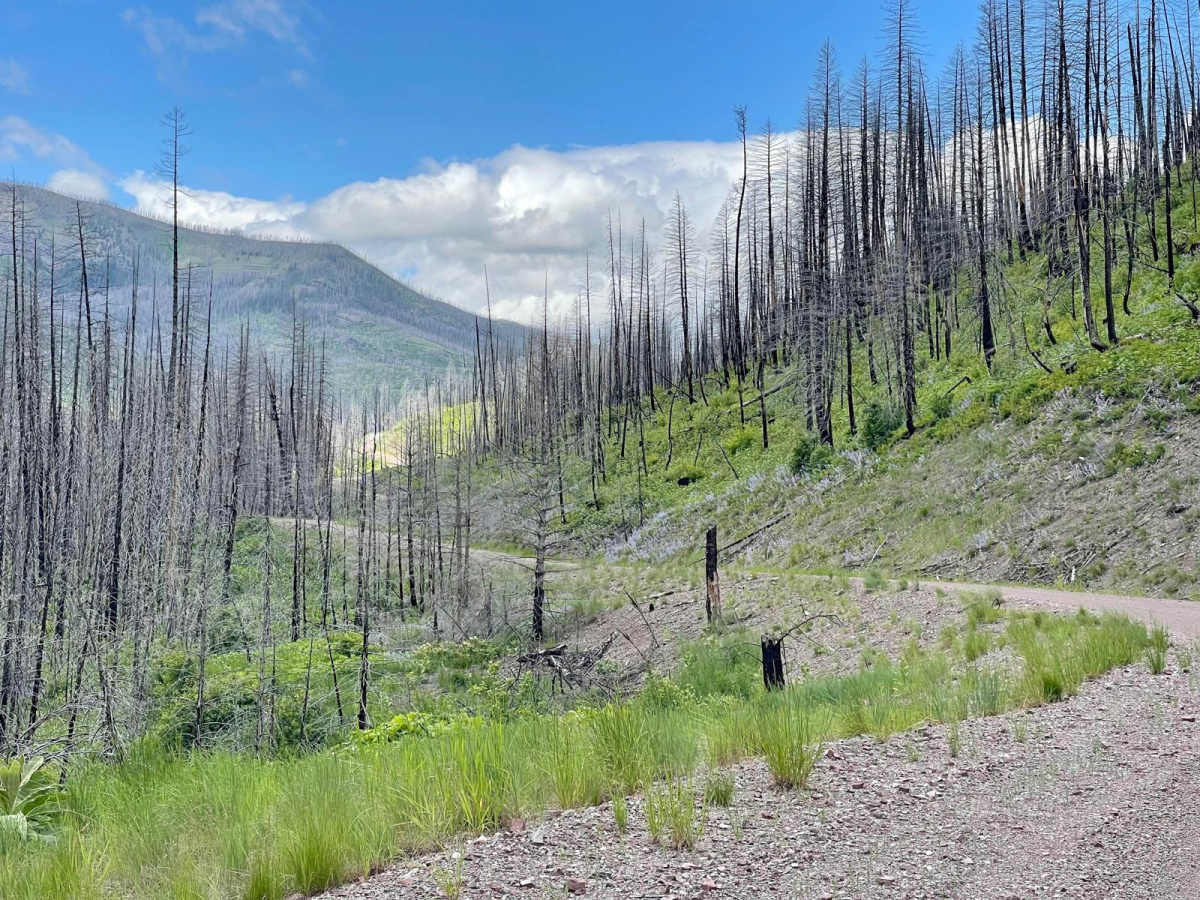 Dunham Creek trail photo