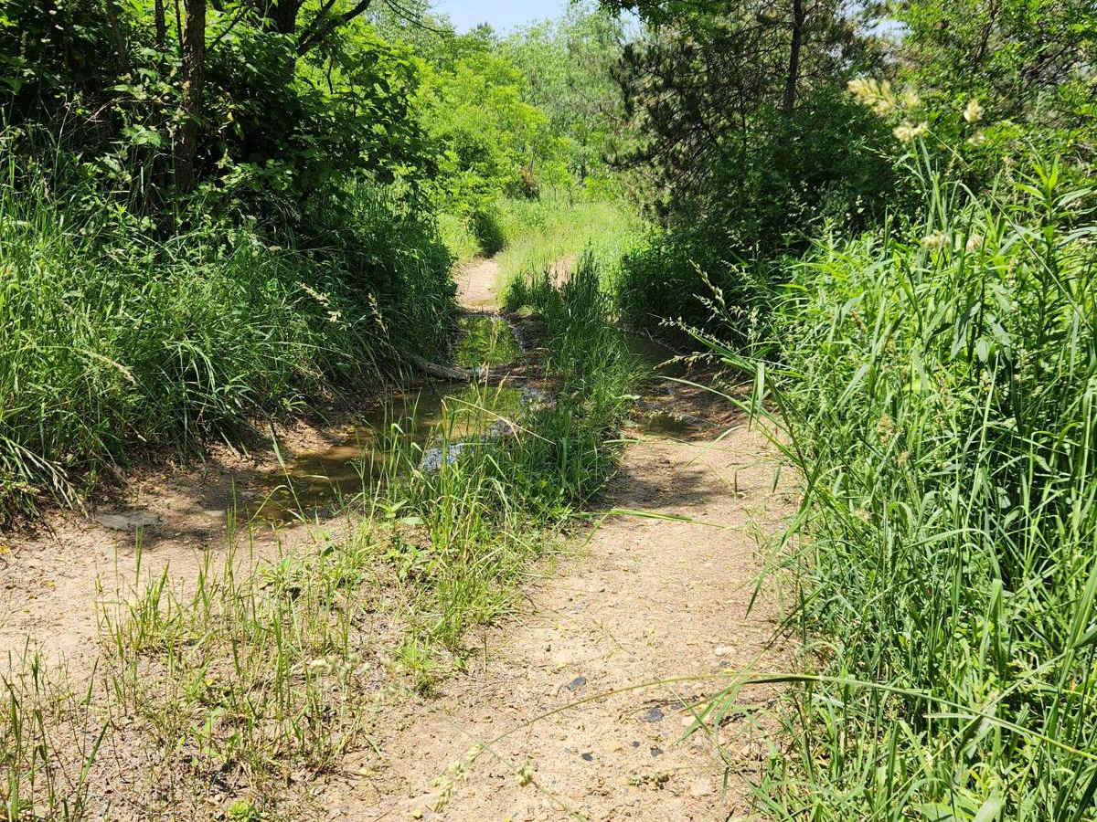 Trail 13A - Rock Run Recreation Area photo 6