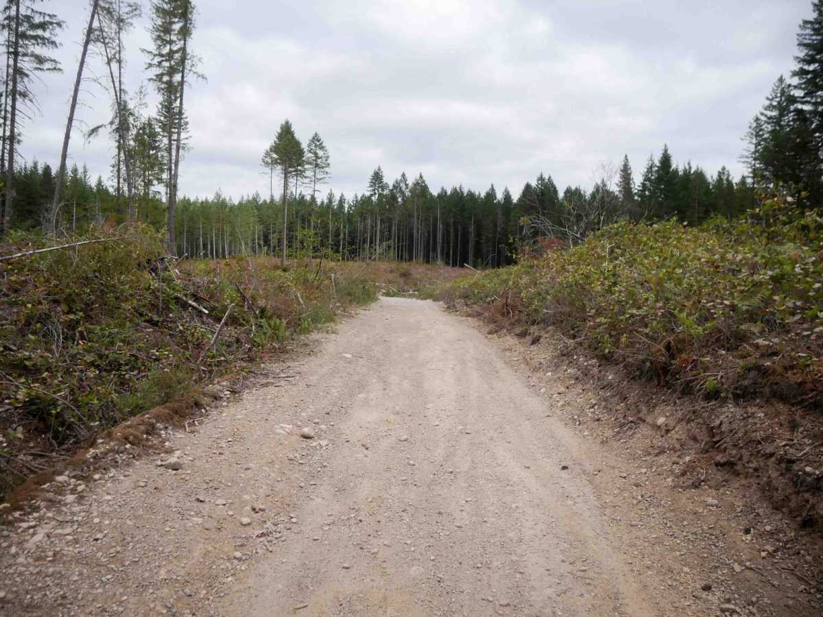 Mission Creek Staging trail photo
