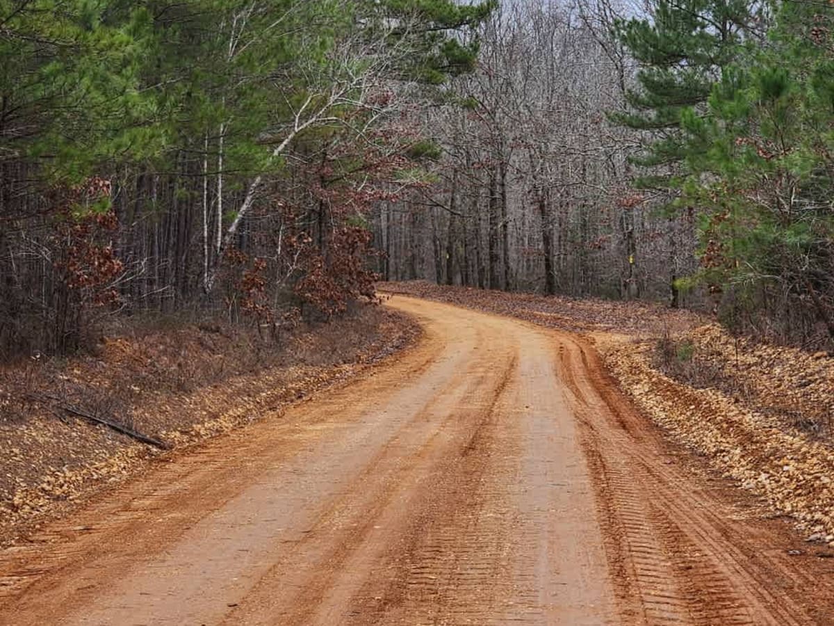 Old Highway 50 photo 4