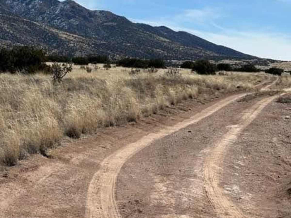 Ladron Wilderness Access trail photo