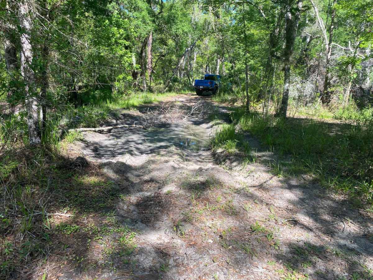 Blue Sink Road photo 5