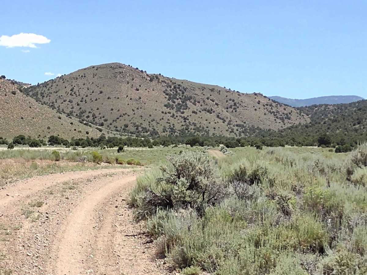 Flat Top/Poverty Flat photo 2