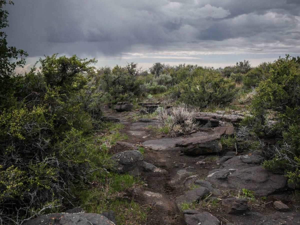 Rockstar trail photo