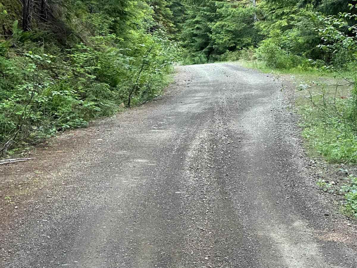 Dusk Point Trail photo 3