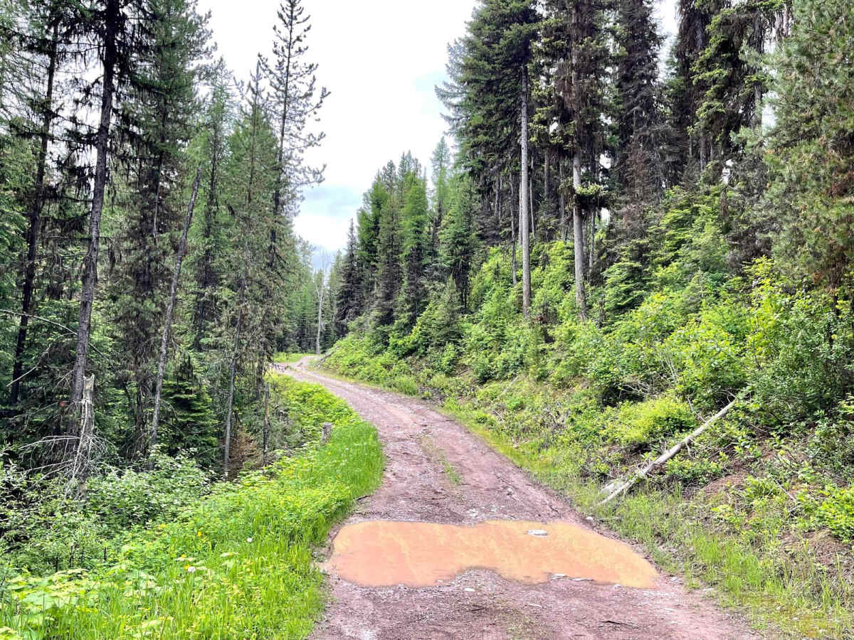 Cottonwood Ridge photo 5