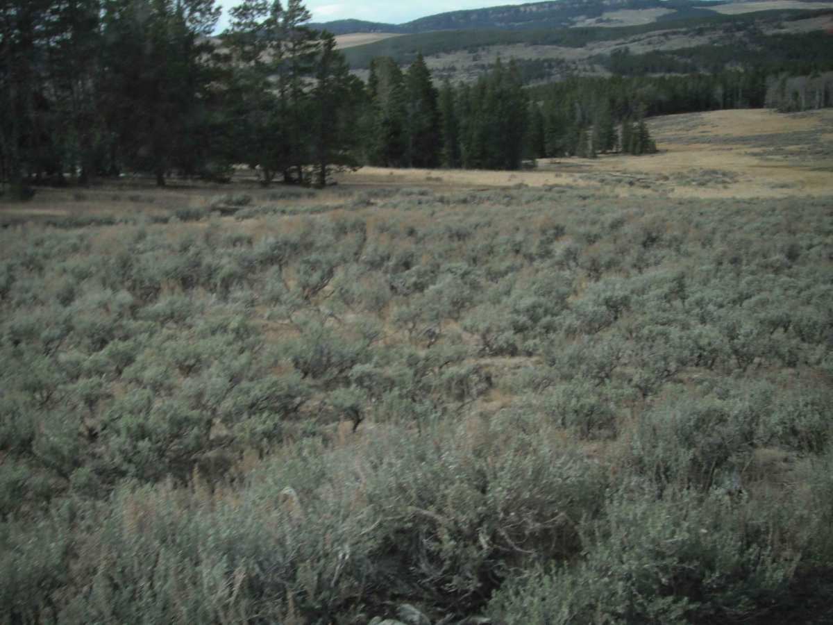 Web Creek Loop photo 4
