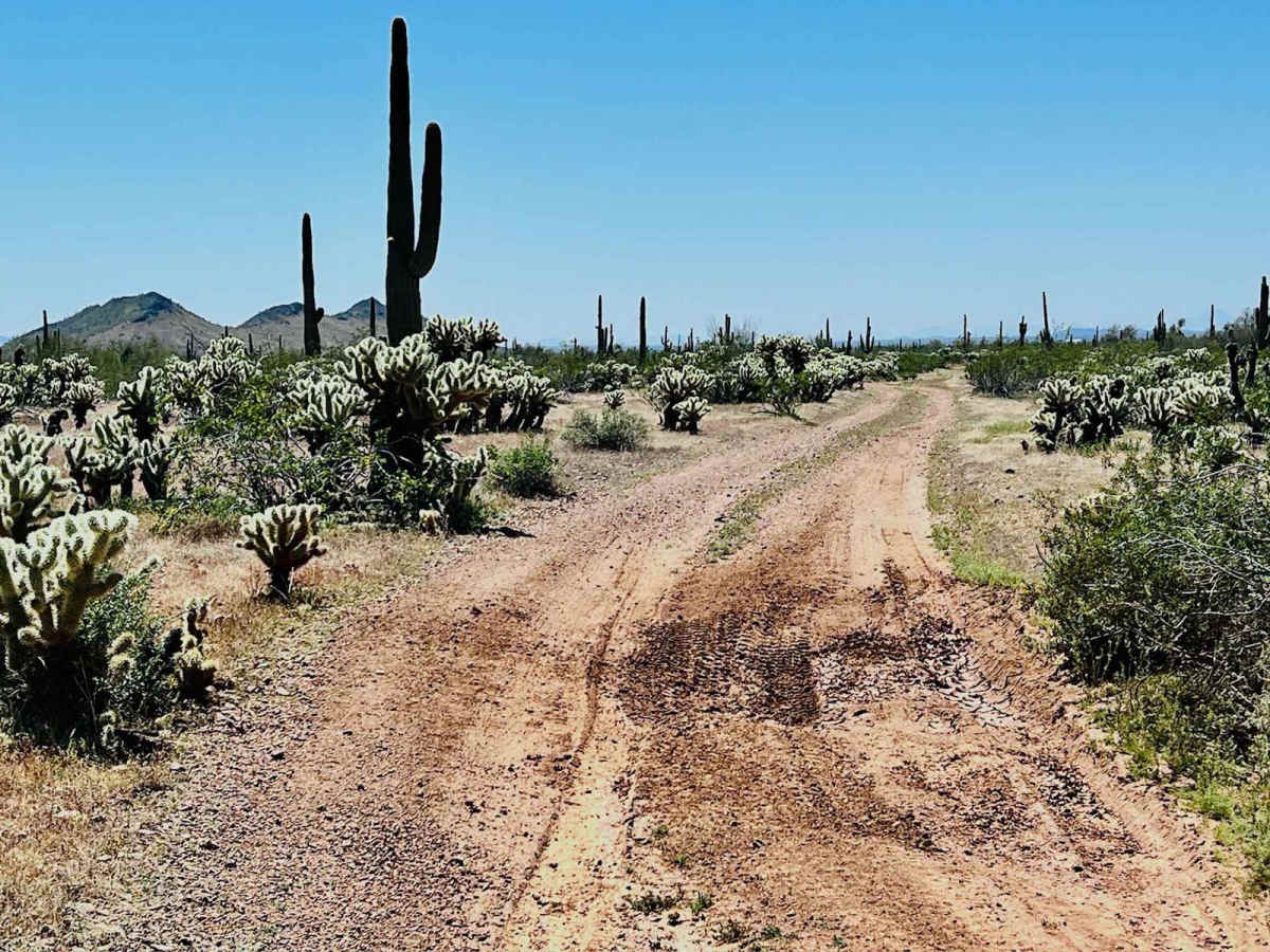 9058 Old Corral photo 5