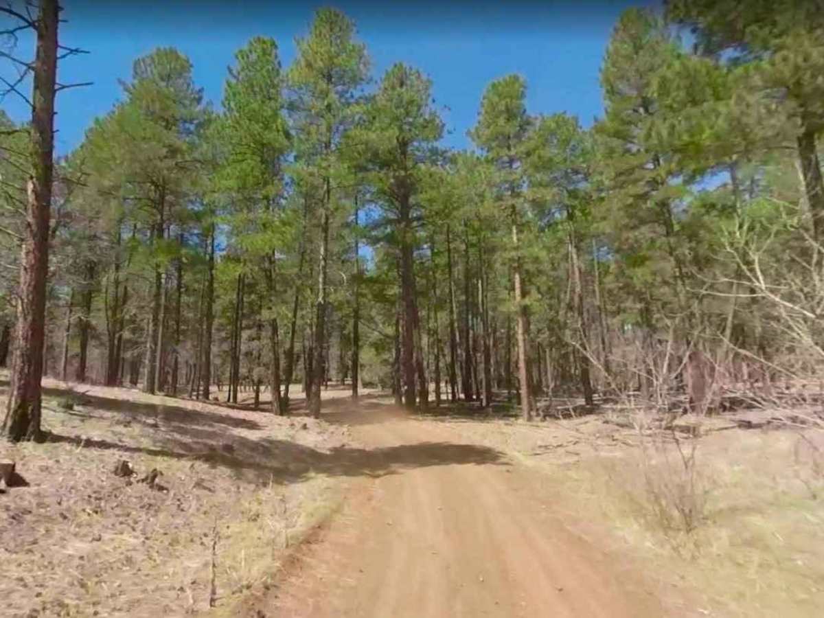 Nixon South Road BLM 1044 photo 5
