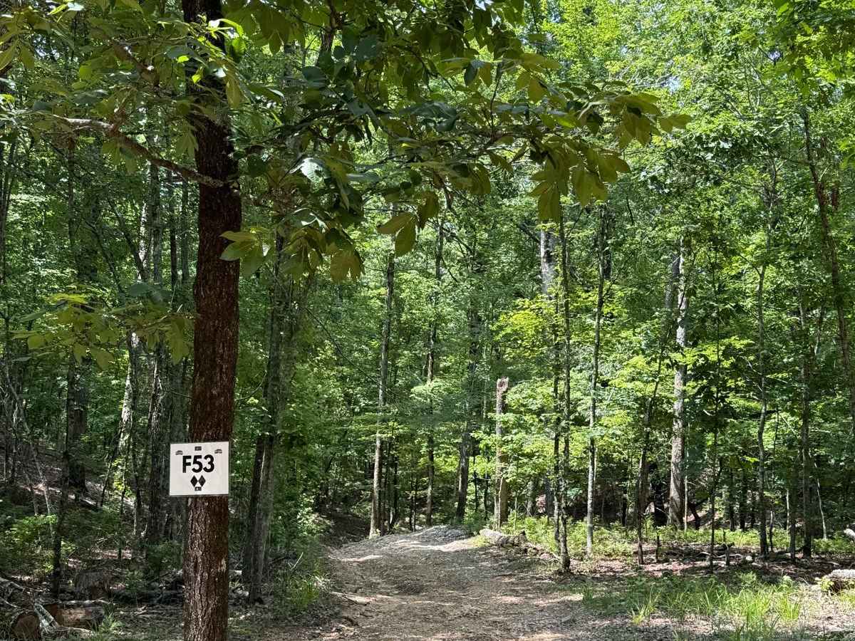 F53 trail photo