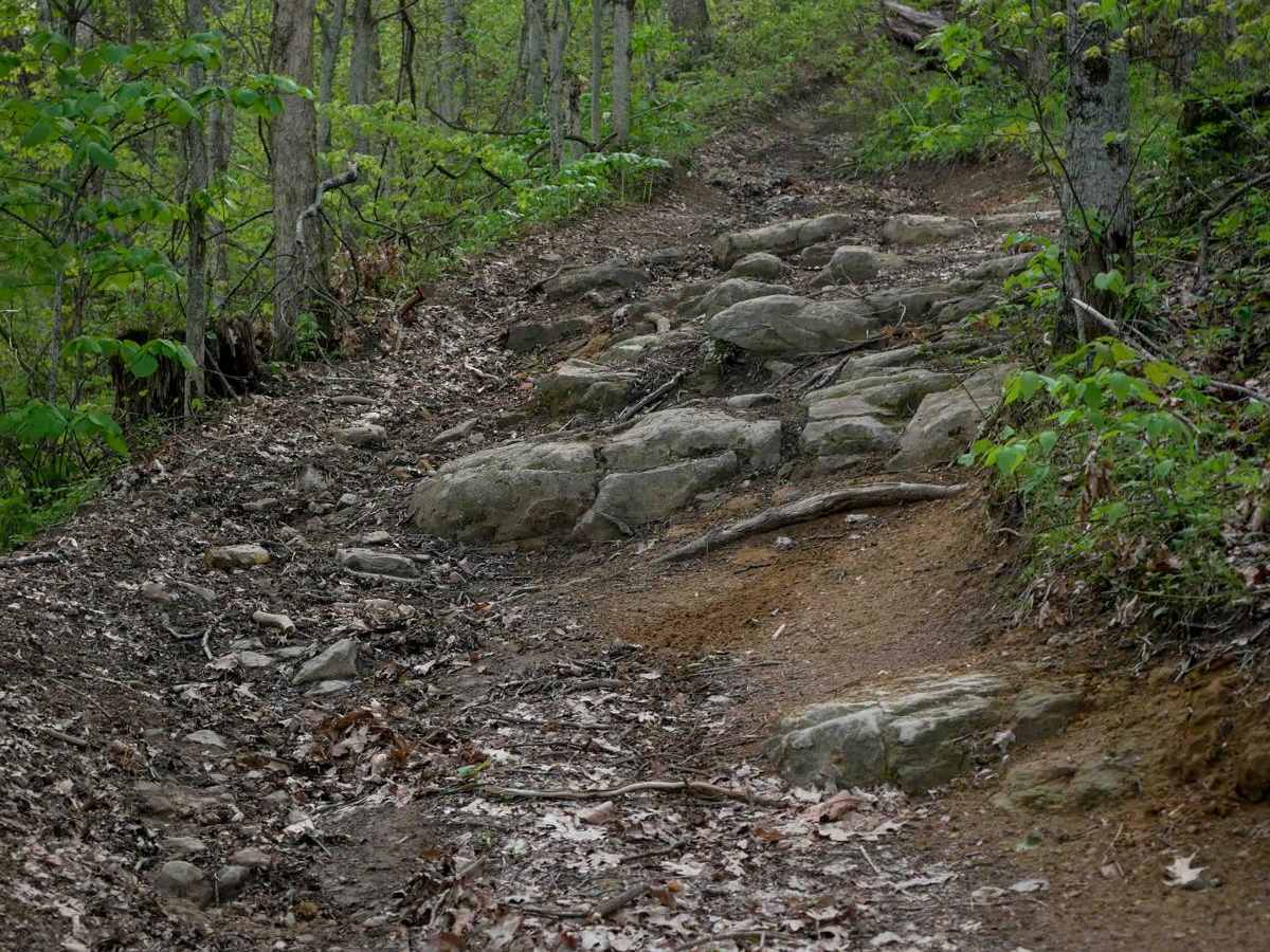 IR 24 trail photo