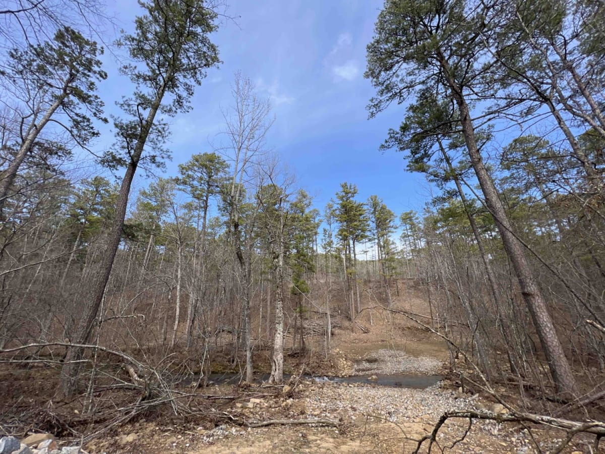 Big Cove Road 739 photo 6
