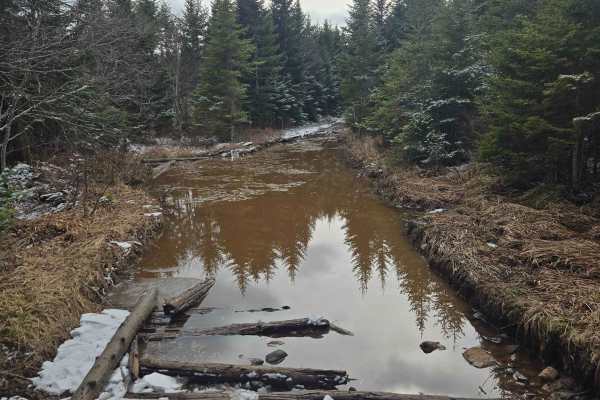 Grist Mill Road - 104