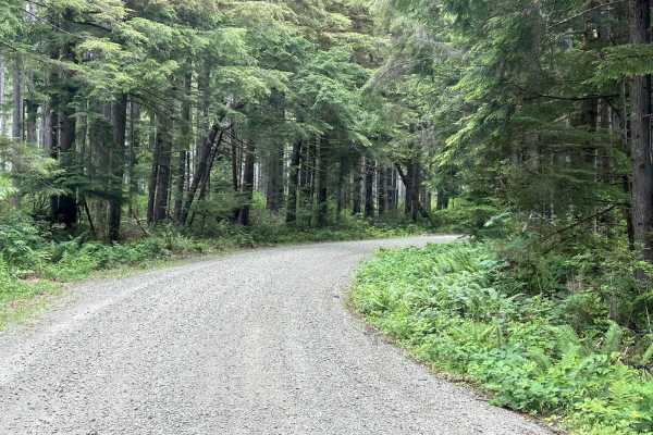 Horse Camp Trail