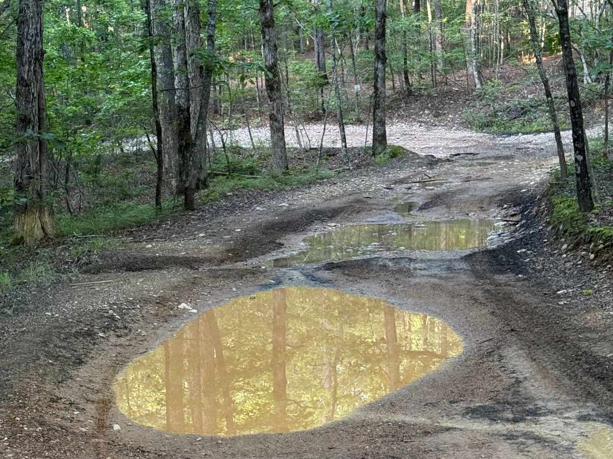 F2 Pond Road photo 4