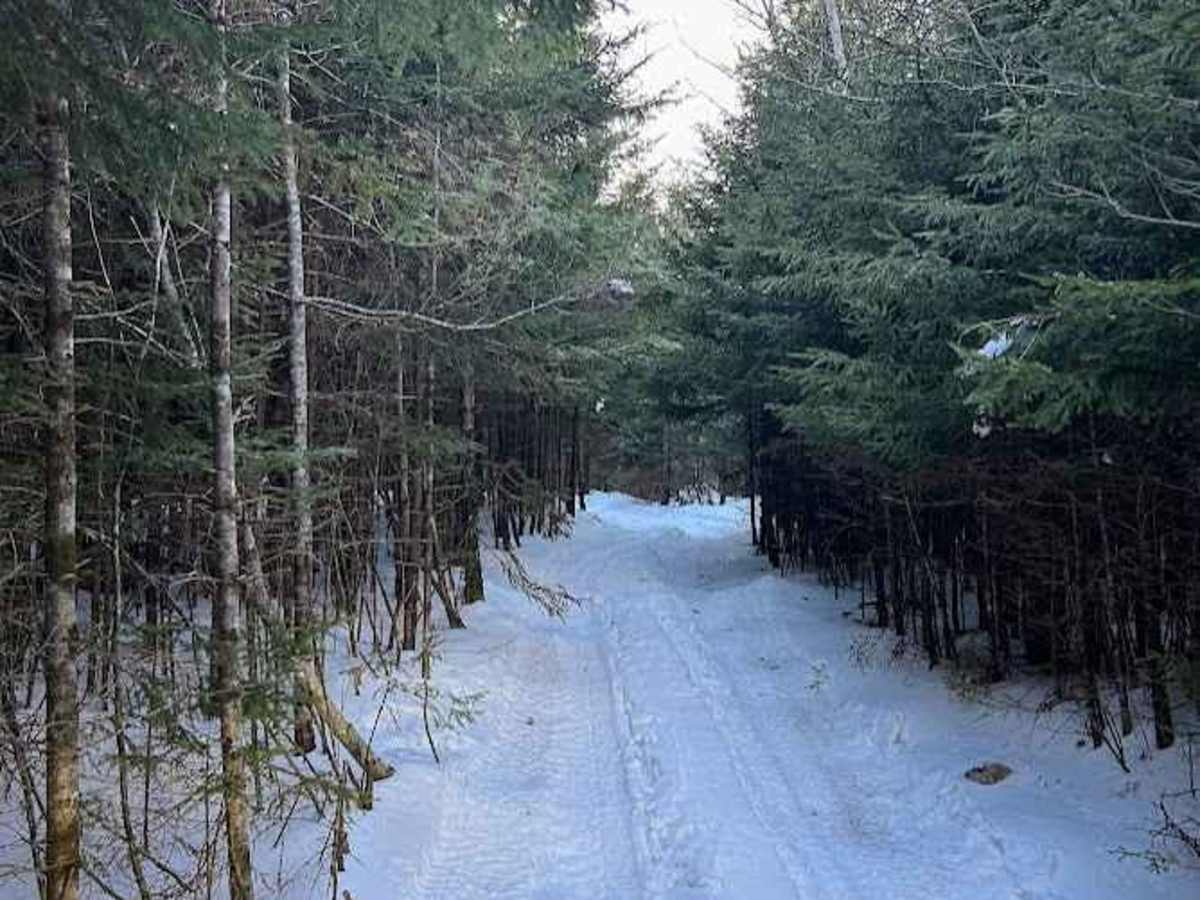 Beeswanger Trail photo 6