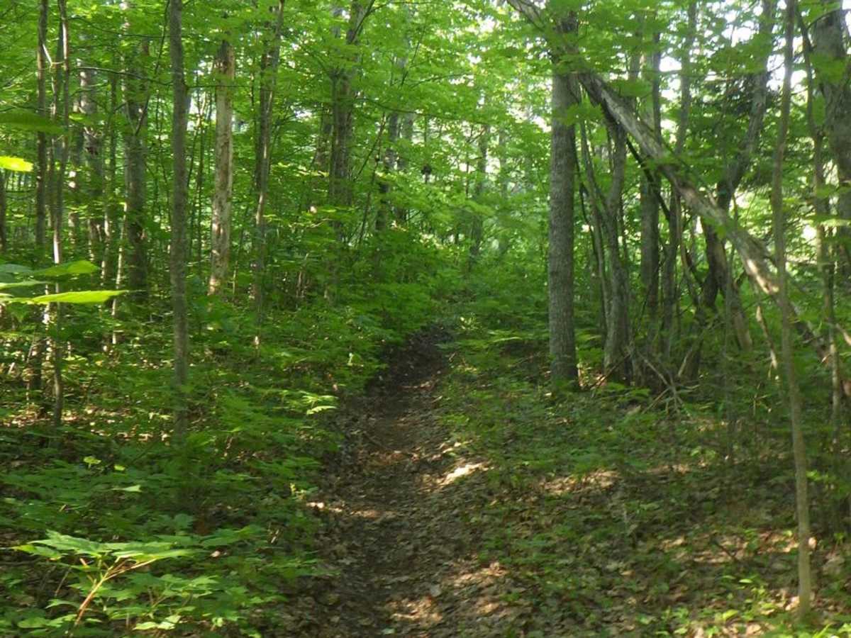 Kinross Motorcycle Trail South/East Loop trail photo