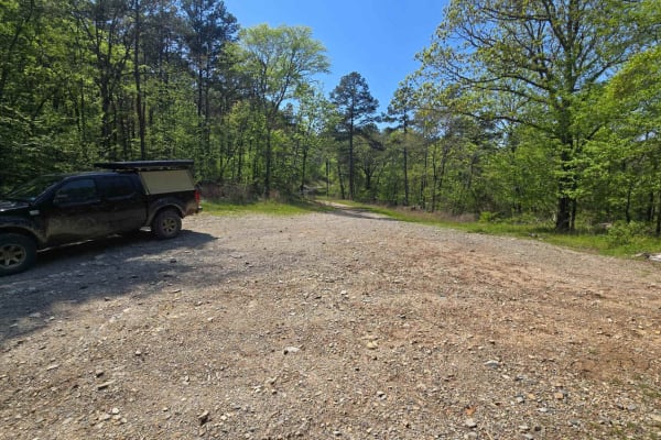 Bee Creek Trail