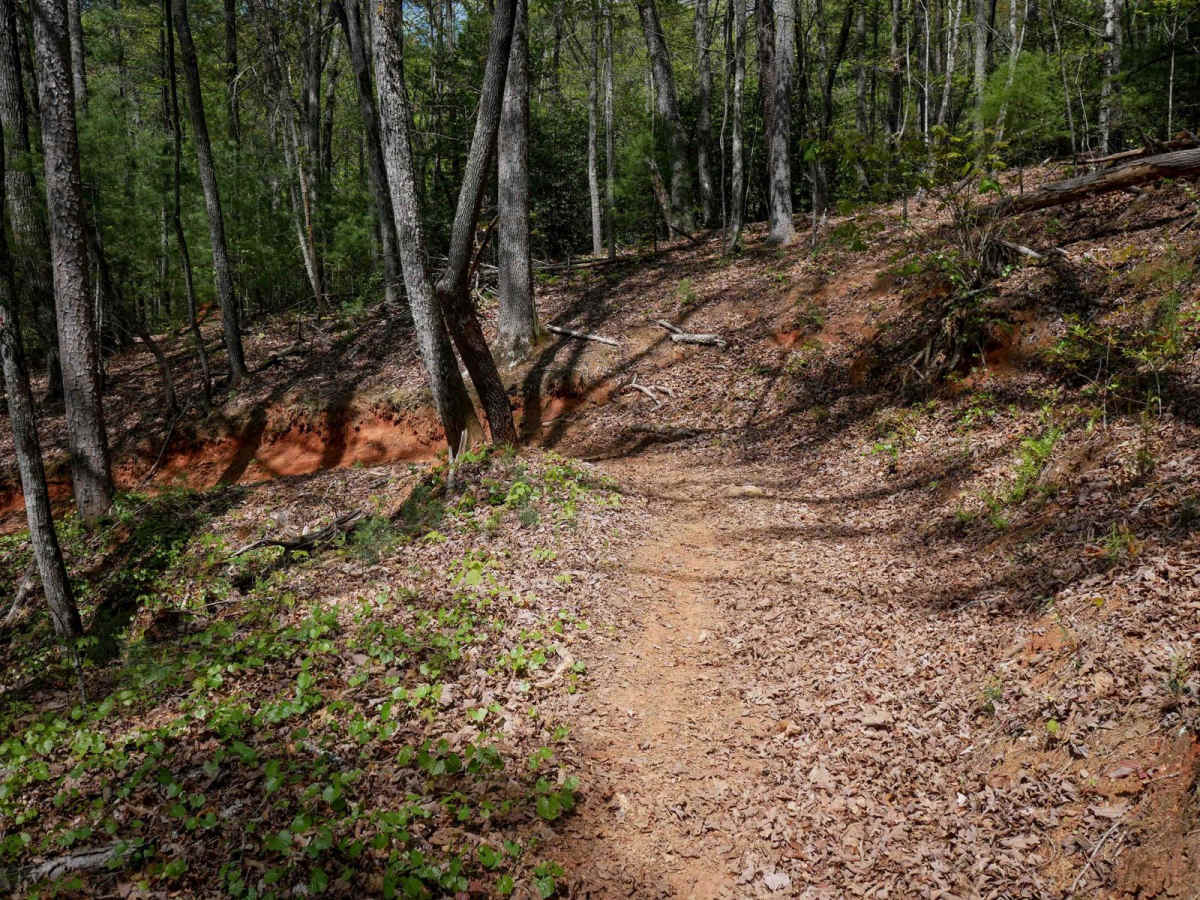 Double Bridges Trail F photo 6