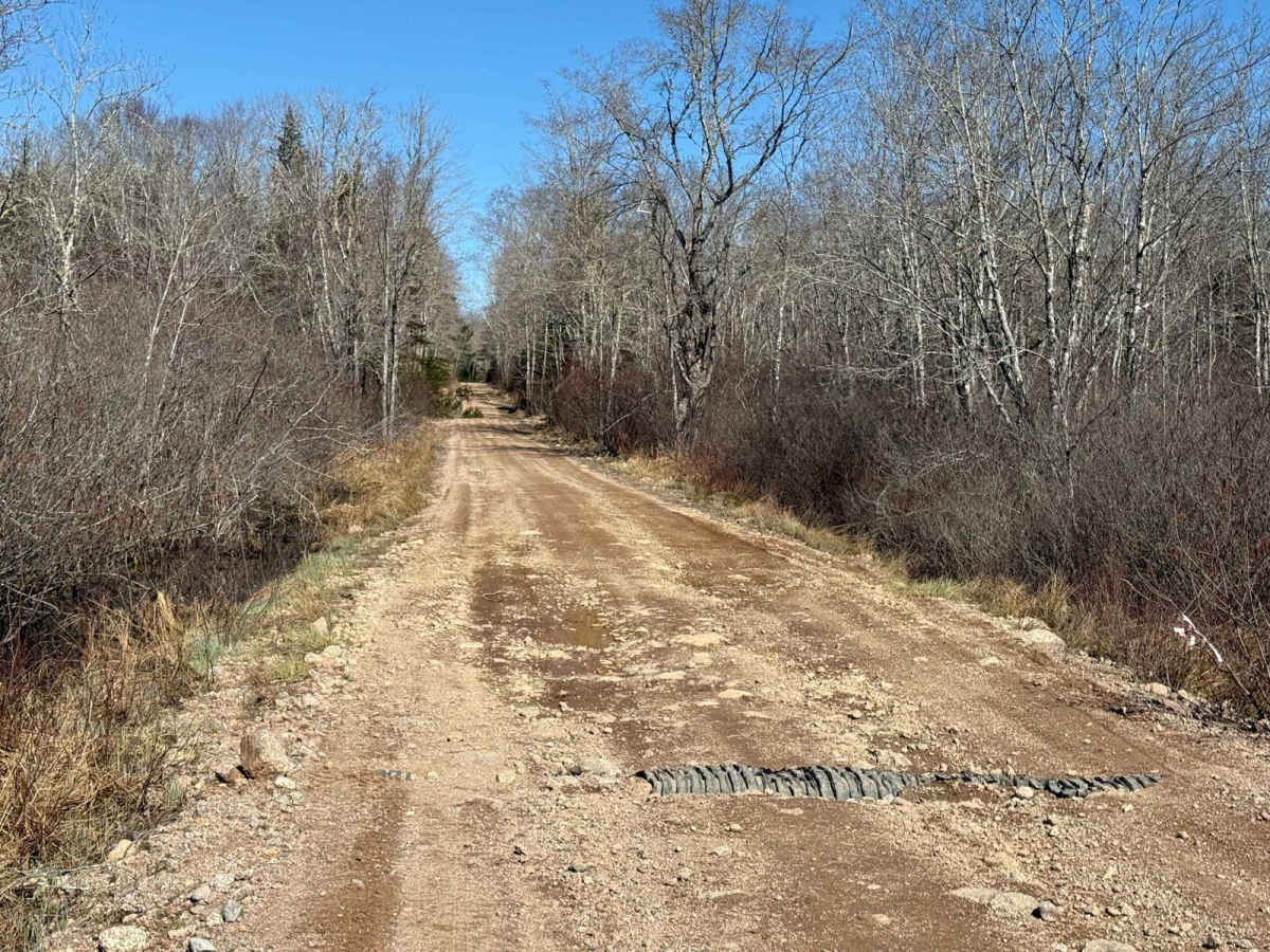 Route 95 photo 4
