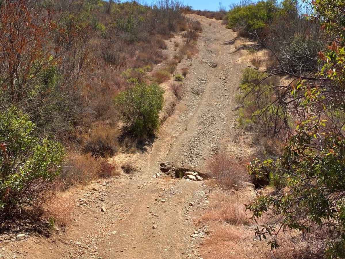 Old Race Route photo 4