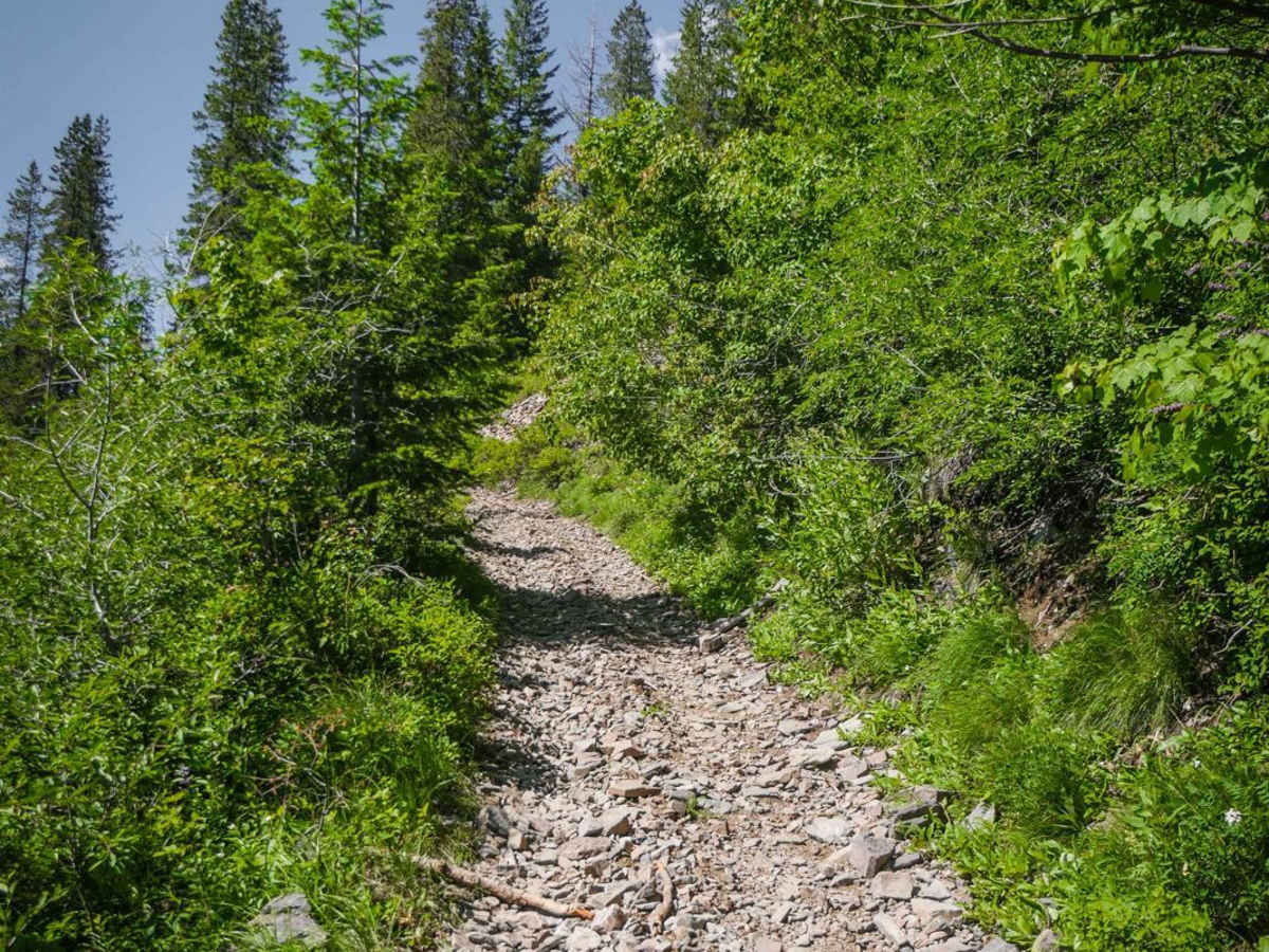 Striped Peak ATV photo 4