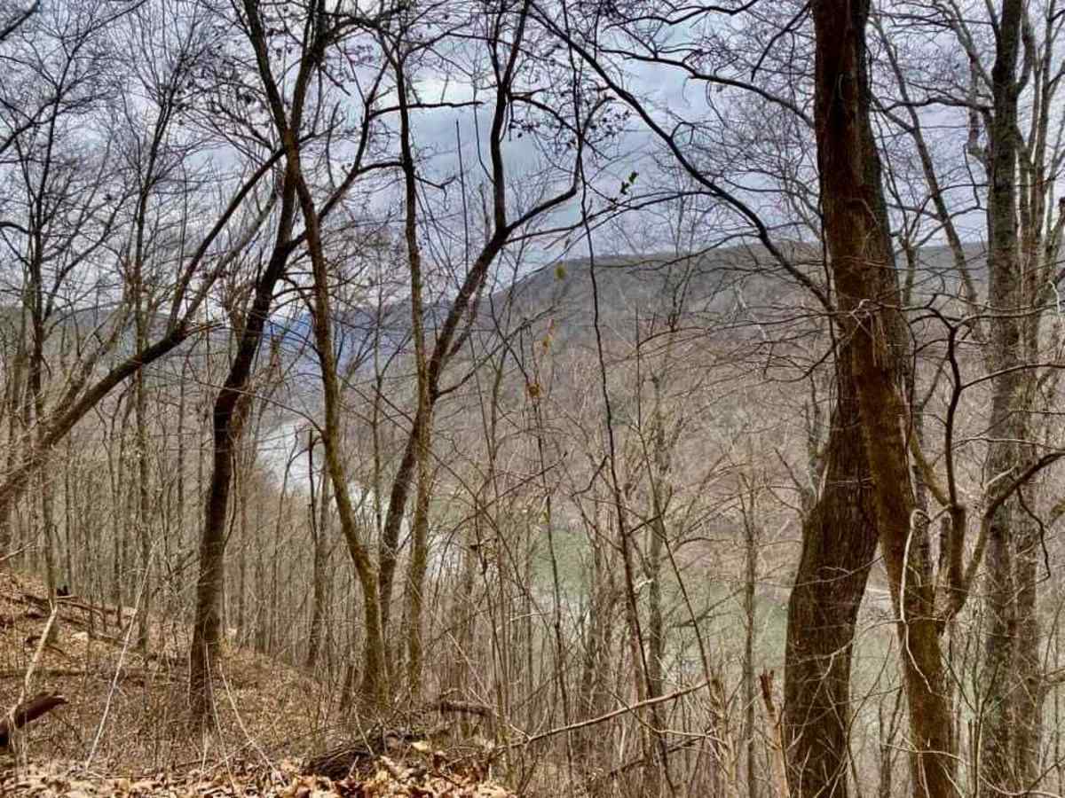 CR 25/2 - Beury Mountain Road photo 2