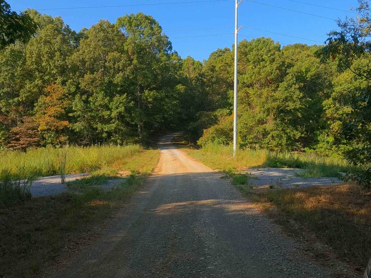 Woodson Chapel Road - FS 129 photo 5