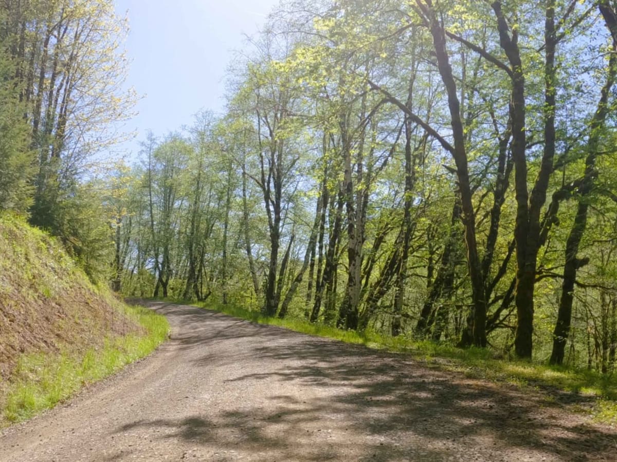Jordan Creek Road photo 4