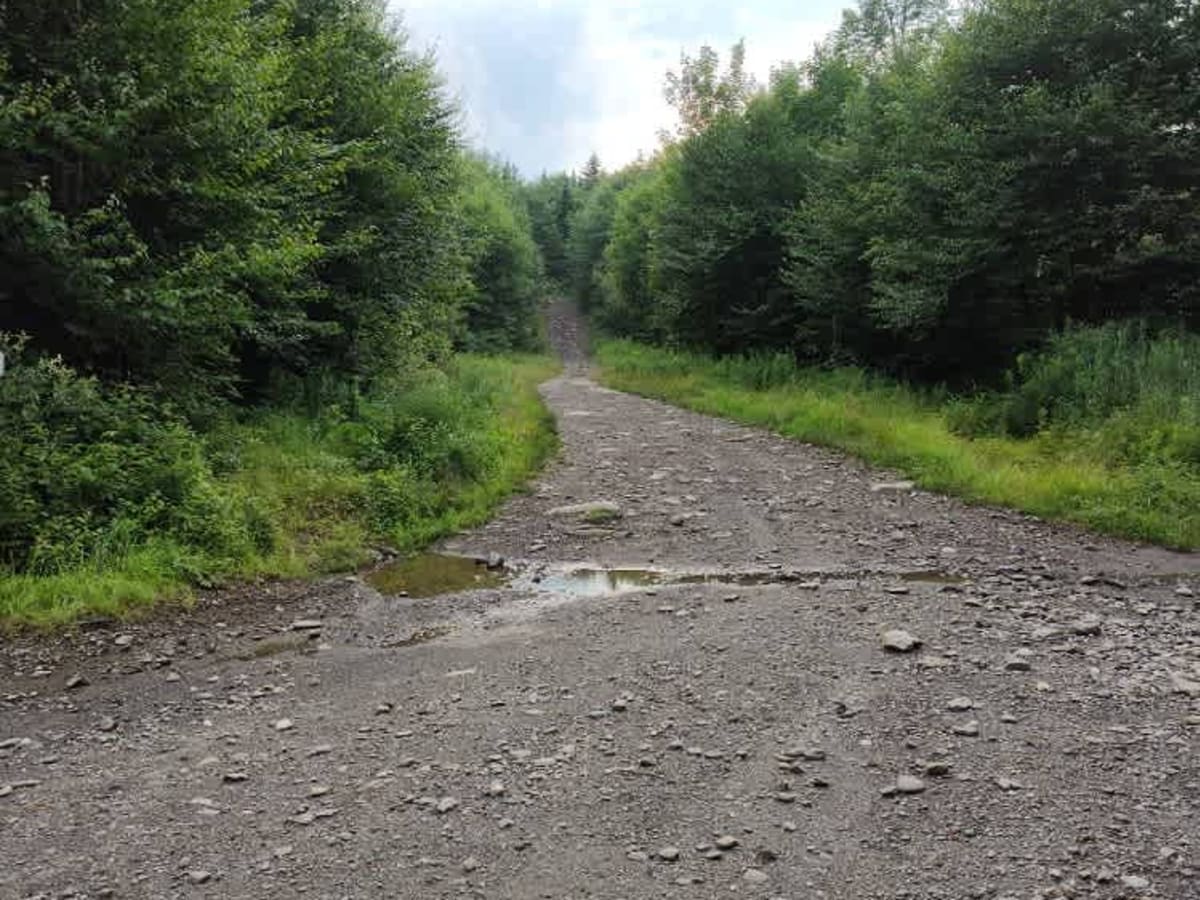 White Wolf Trail photo 5