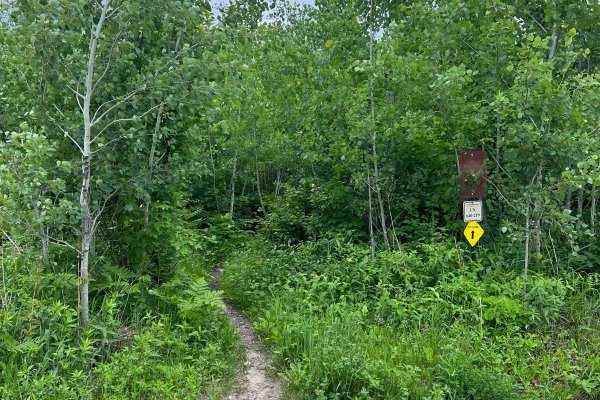 Paul Bunyan NW Loop Part 2