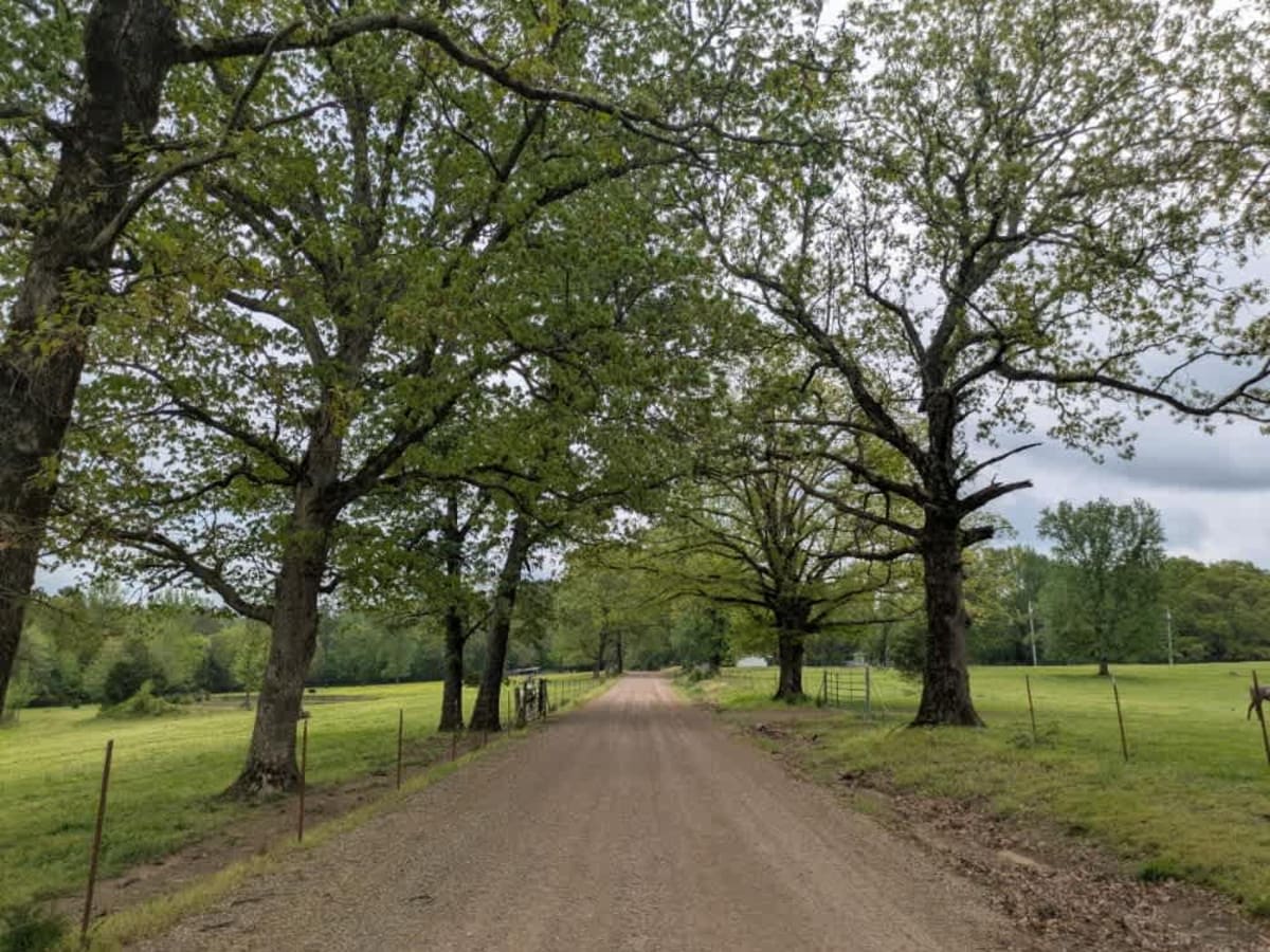 Spring Lake Road trail photo