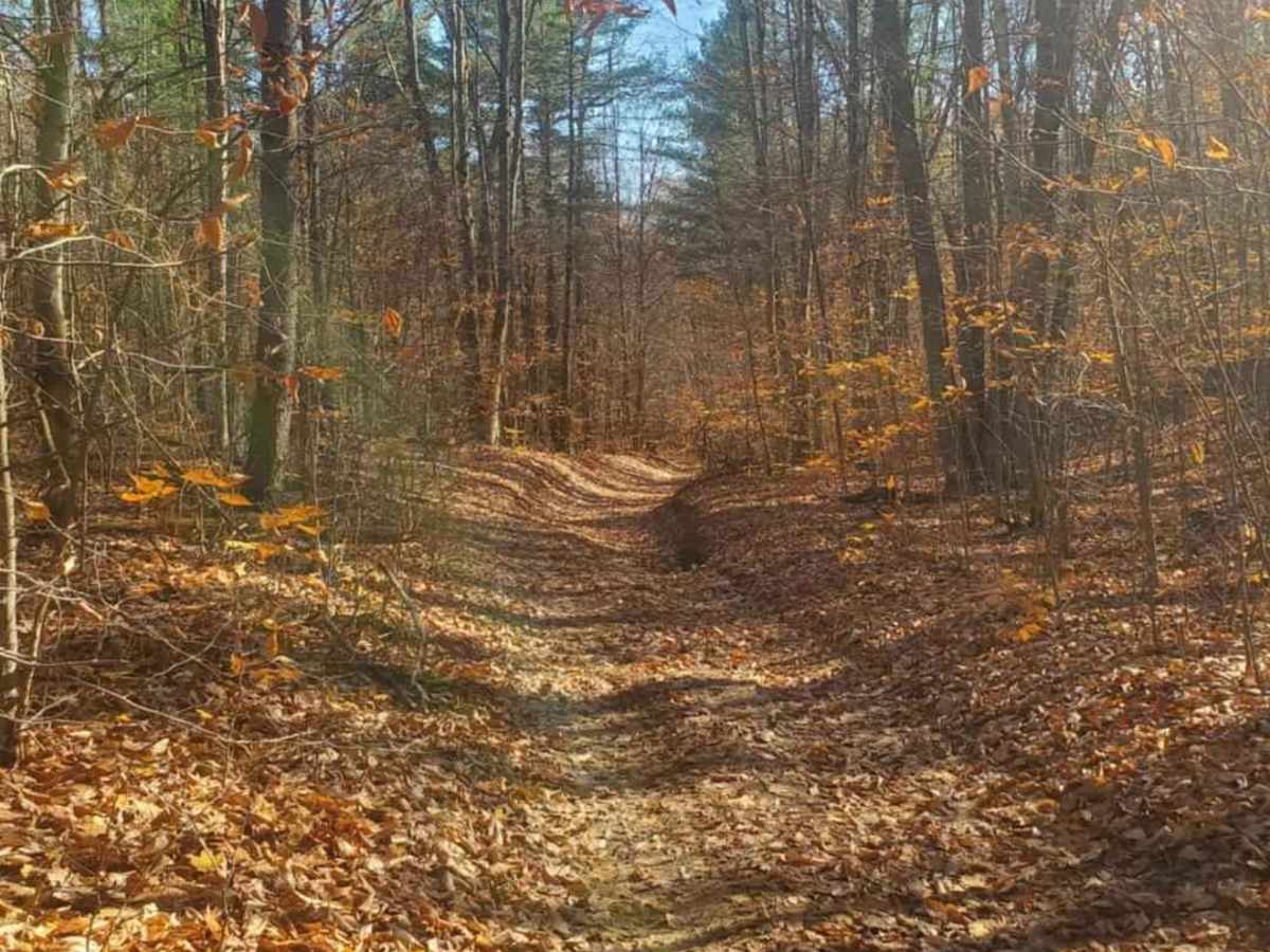 Trail 7325 photo 4
