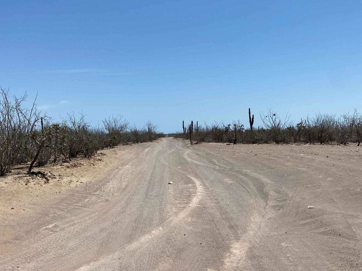 Santa Rita Loop photo 5