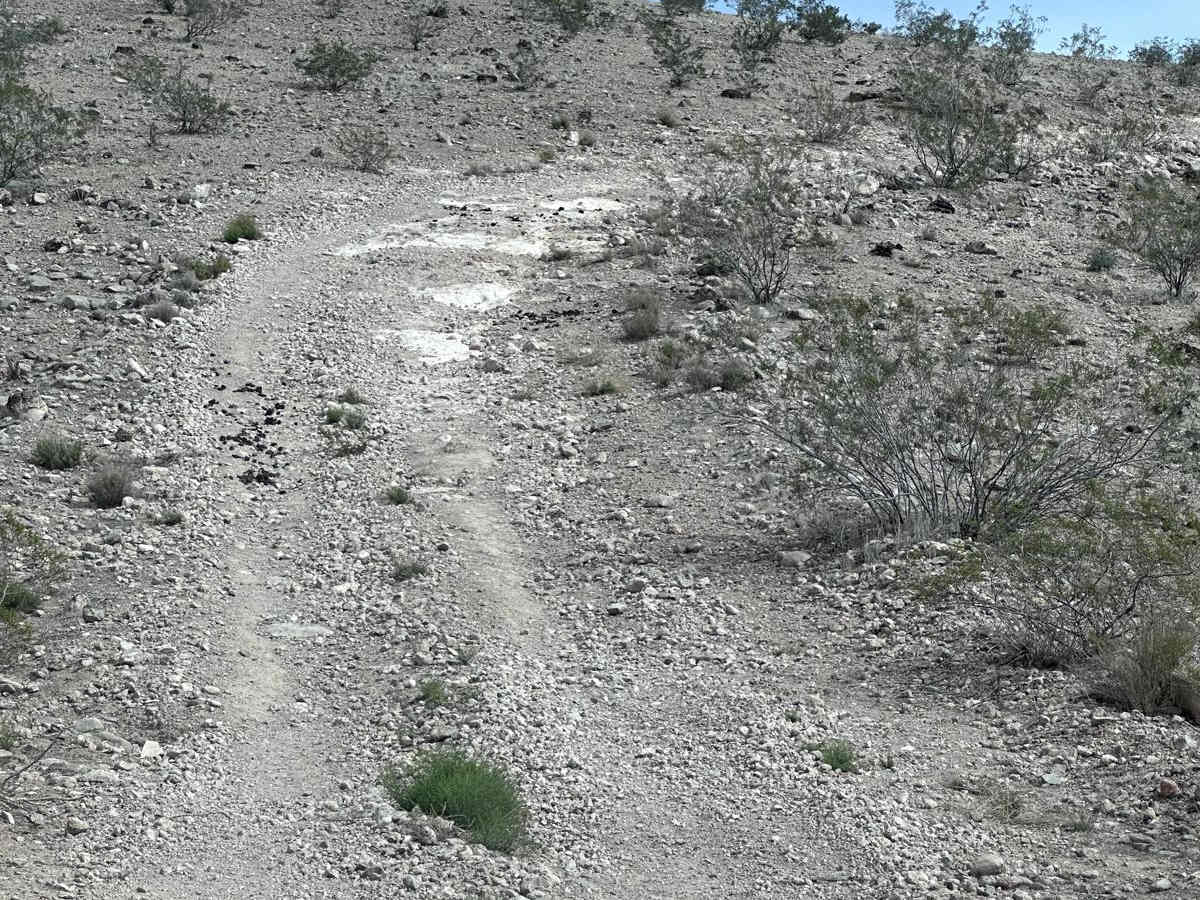 Grand Wash Cliffs - BLM 1061 photo 4