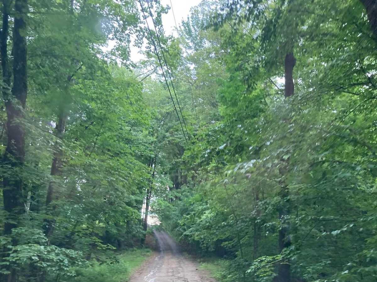 Natty's Route photo 5