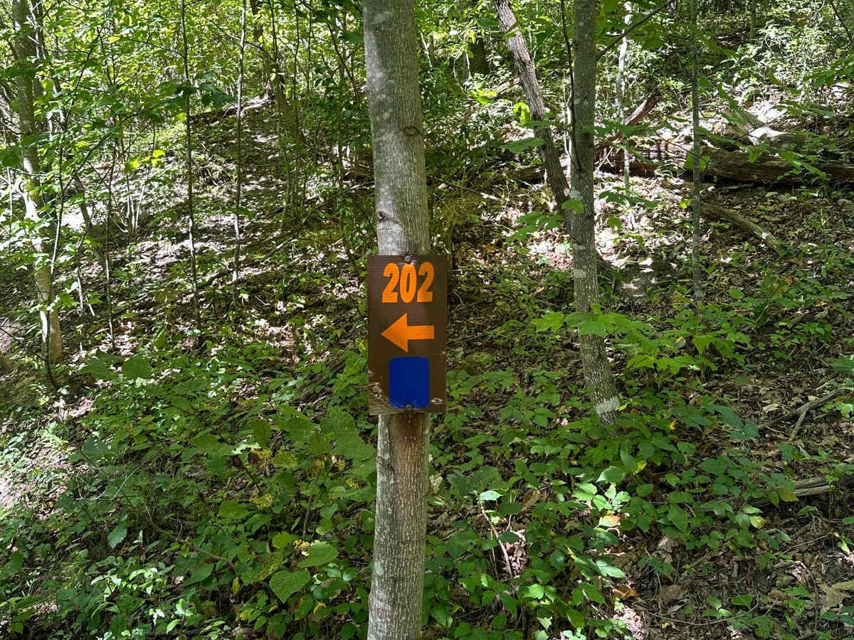 202 trail photo